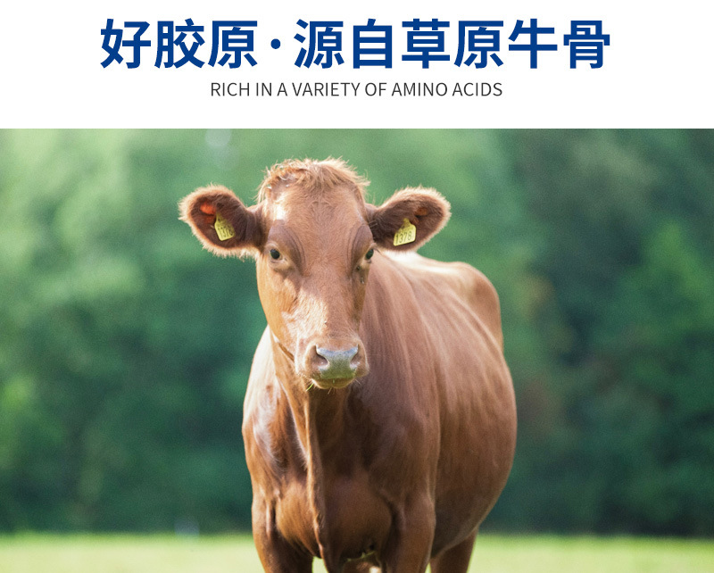 骨胶原蛋白肽_07.jpg