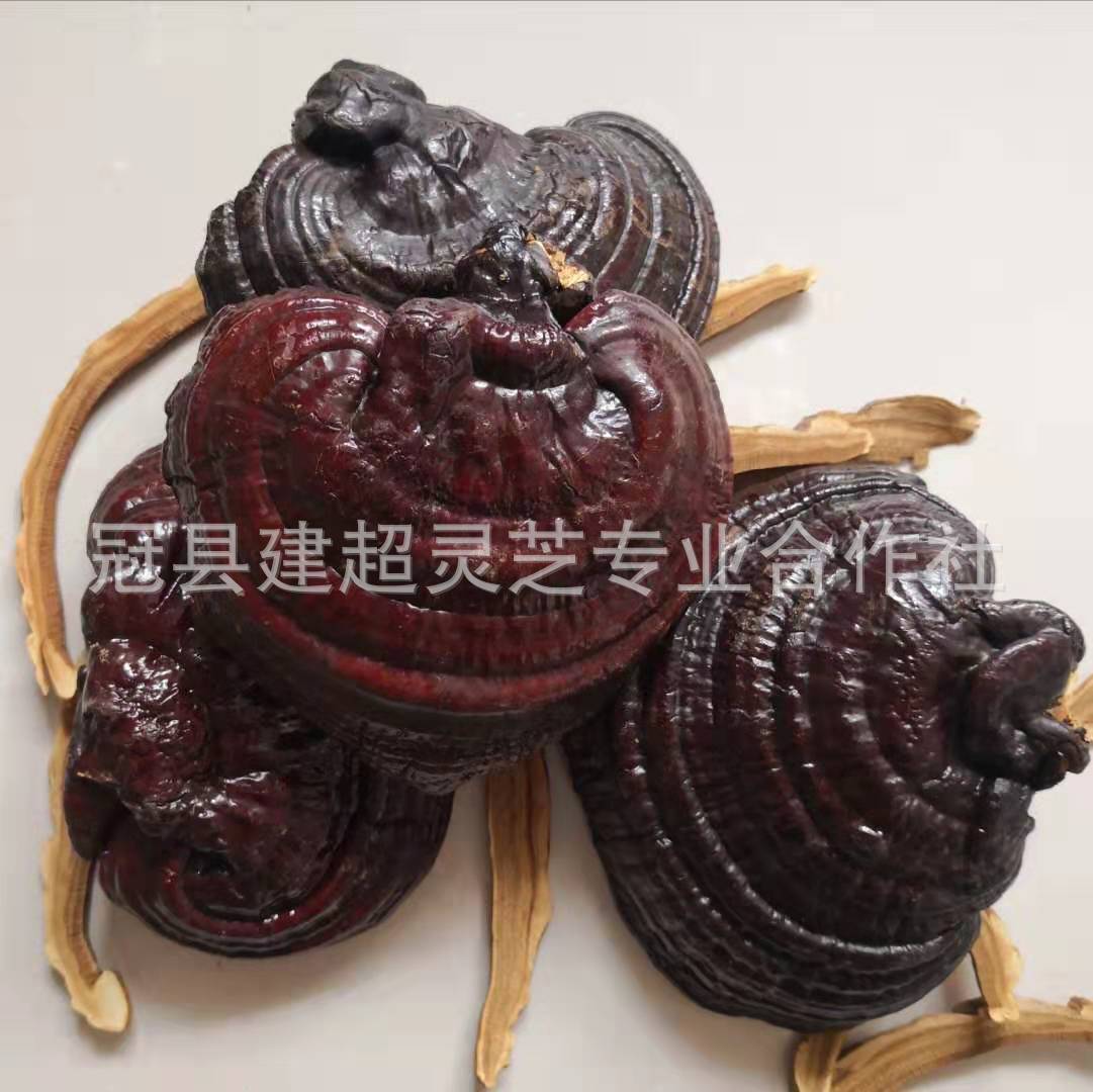 微信图片_20190724172337.jpg