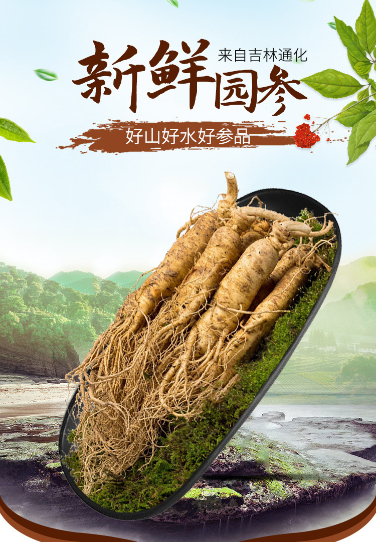 微信图片_20211230145505_01