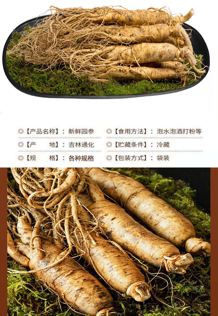 微信图片_20211230145505_07