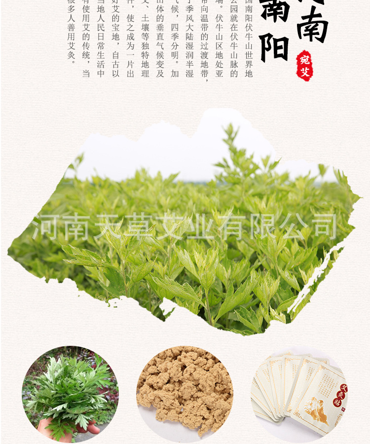 艾灸贴_02